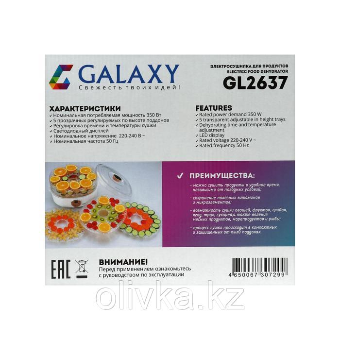 Сушилка для овощей и фруктов Galaxy GL 2637, 350 Вт, 5 ярусов, 17 л, d=30 см, белая - фото 6 - id-p113260882