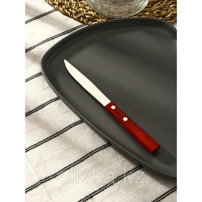 Нож столовый из нержавеющей стали «Эко-стейк», длина 20 см, деревянная ручка - фото 1 - id-p113252223