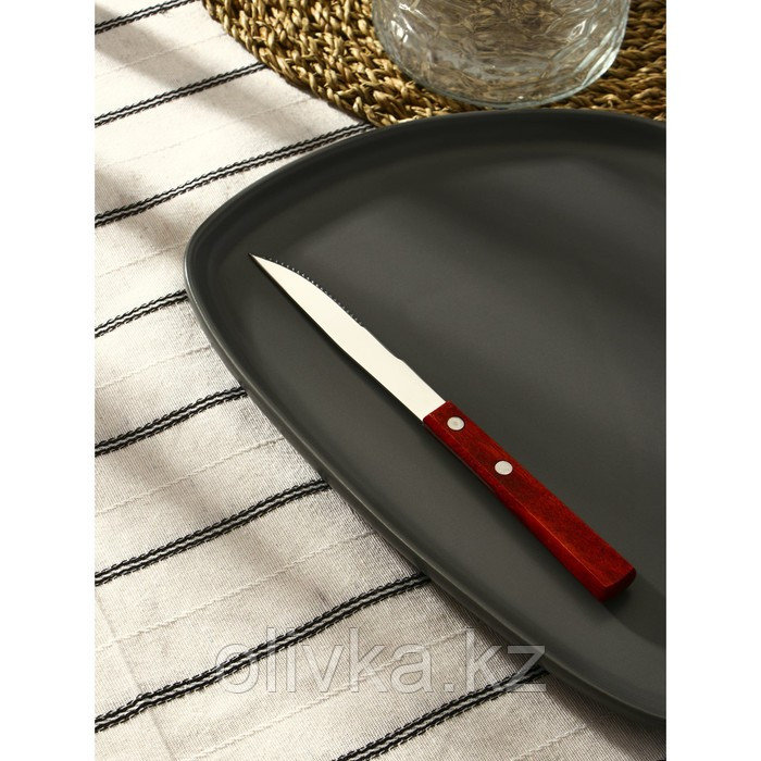 Нож столовый из нержавеющей стали «Эко-стейк», длина 20 см, деревянная ручка - фото 2 - id-p113252223