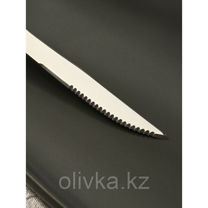 Нож столовый из нержавеющей стали «Эко-стейк», длина 20 см, деревянная ручка - фото 3 - id-p113252223