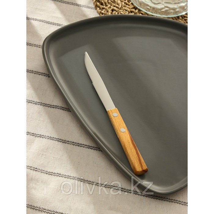 Нож столовый из нержавеющей стали «Эко-стейк», длина 20 см, деревянная ручка - фото 4 - id-p113252223