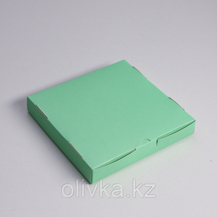 Коробка самосборная, с окном, мятная, 19 х 19 х 3 см - фото 3 - id-p113253965