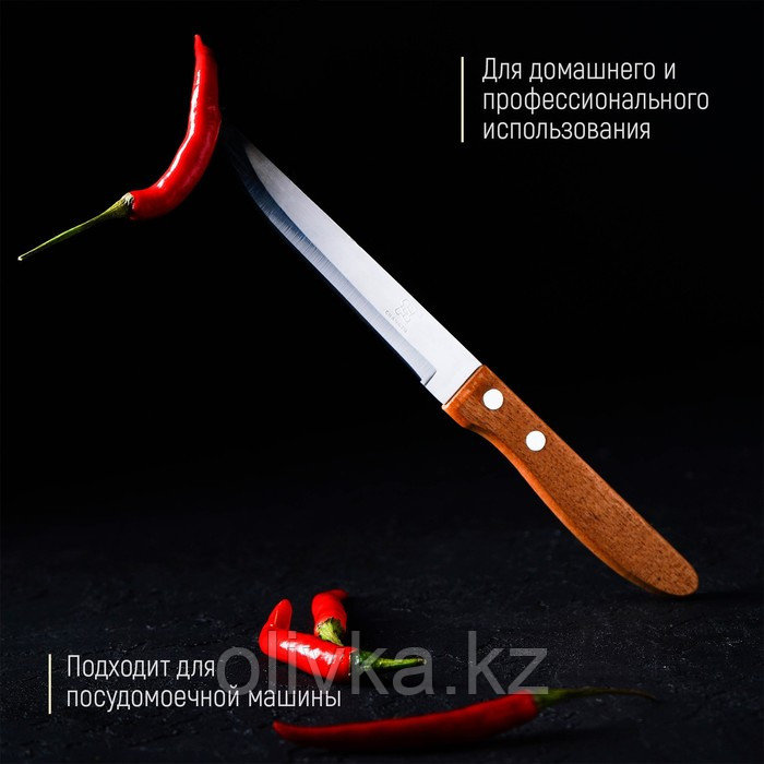 Нож кухонный Доляна «Эльбрус», лезвие 11,5 см - фото 4 - id-p113251384