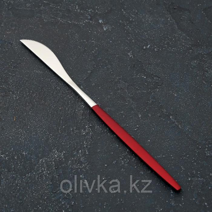 Нож столовый из нержавеющей стали Magistro «Блинк», длина 22 см, на подвесе, цвет серебряный, красная ручка - фото 1 - id-p113262710