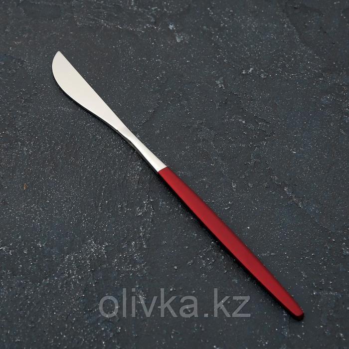 Нож столовый из нержавеющей стали Magistro «Блинк», длина 22 см, на подвесе, цвет серебряный, красная ручка - фото 2 - id-p113262710