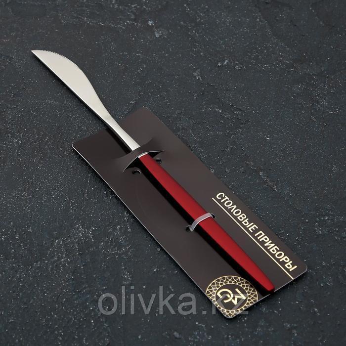 Нож столовый из нержавеющей стали Magistro «Блинк», длина 22 см, на подвесе, цвет серебряный, красная ручка - фото 3 - id-p113262710
