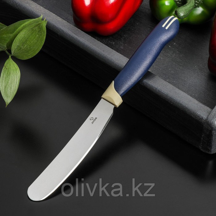 Нож для масла Доляна «Страйп», лезвие 7,5 см, цвет синий - фото 1 - id-p113263469