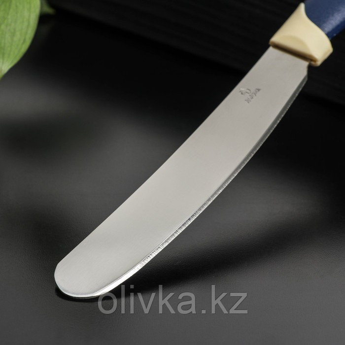 Нож для масла Доляна «Страйп», лезвие 7,5 см, цвет синий - фото 2 - id-p113263469
