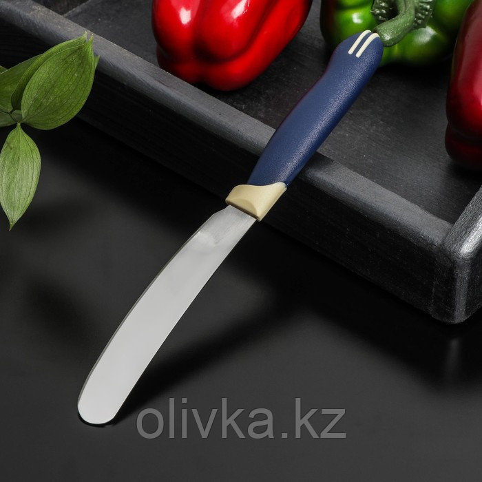 Нож для масла Доляна «Страйп», лезвие 7,5 см, цвет синий - фото 3 - id-p113263469