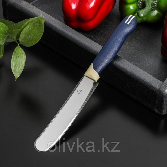 Нож для масла Доляна «Страйп», лезвие 7,5 см, цвет синий - фото 4 - id-p113263469