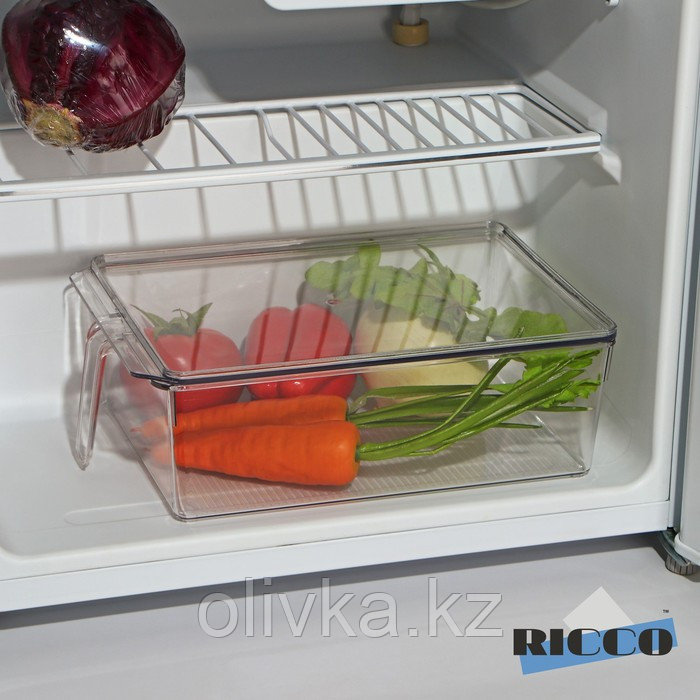 Контейнер для холодильника с крышкой и ручкой RICCO, 32×20,5×10 см, цвет прозрачный - фото 1 - id-p113264299