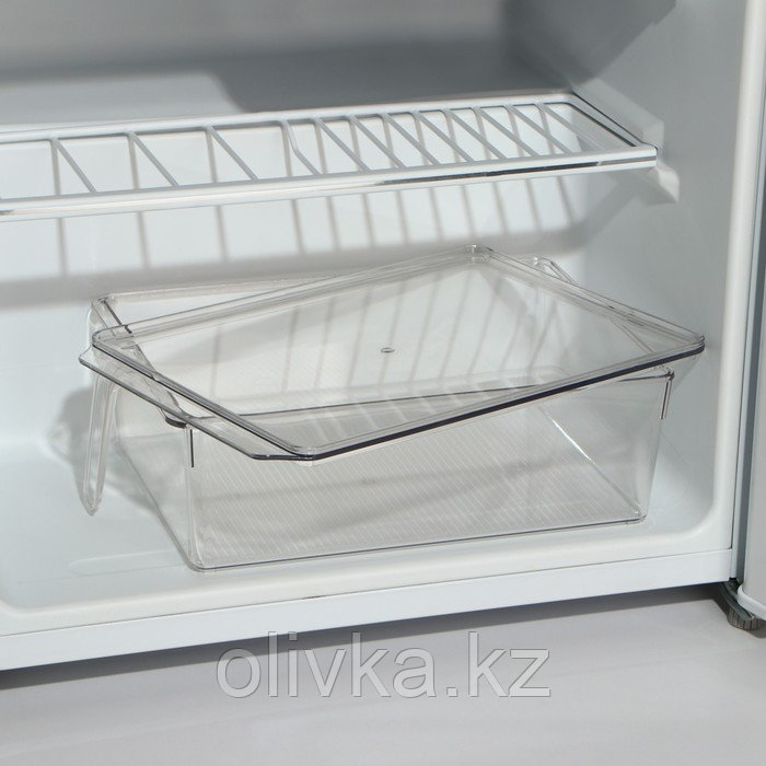 Контейнер для холодильника с крышкой и ручкой RICCO, 32×20,5×10 см, цвет прозрачный - фото 2 - id-p113264299