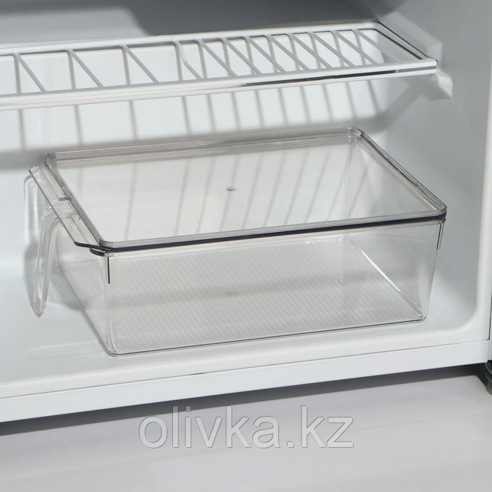 Контейнер для холодильника с крышкой и ручкой RICCO, 32×20,5×10 см, цвет прозрачный - фото 3 - id-p113264299