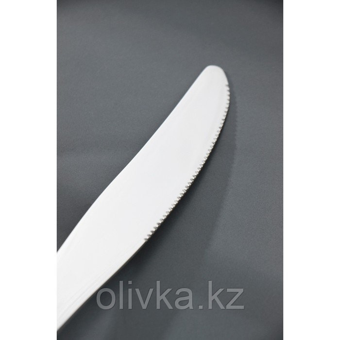 Нож столовый из нержавеющей стали Доляна «Таун», длина 22,5 см, цвет серебряный - фото 2 - id-p113253189