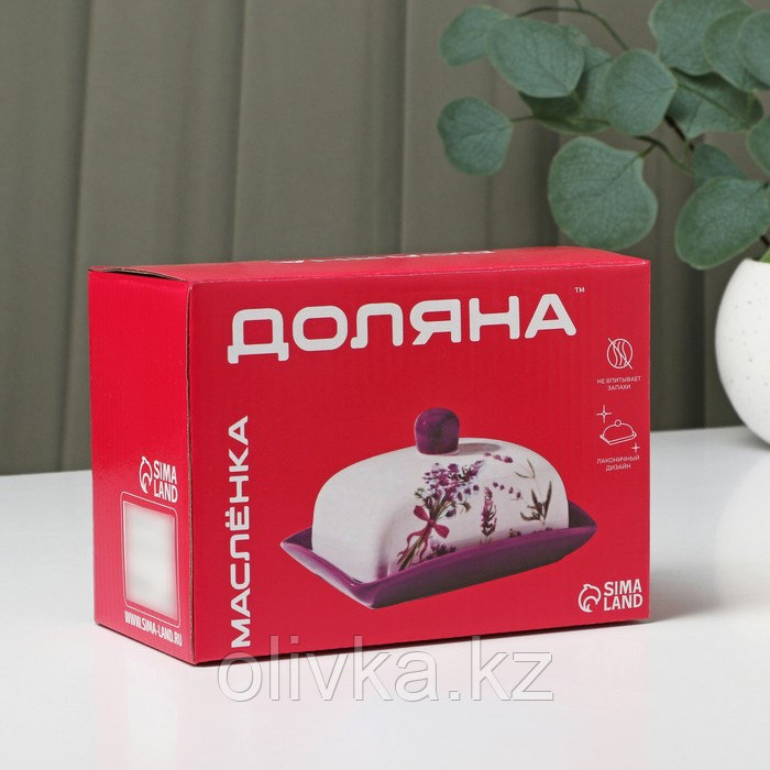 Маслёнка Доляна «Свиристель», 17×12,5×8 см, цвет белый - фото 8 - id-p113258416