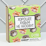 Подарочный набор «Толстые котики»: термостакан 350 мл., ланч-бокс 500 мл, фото 7