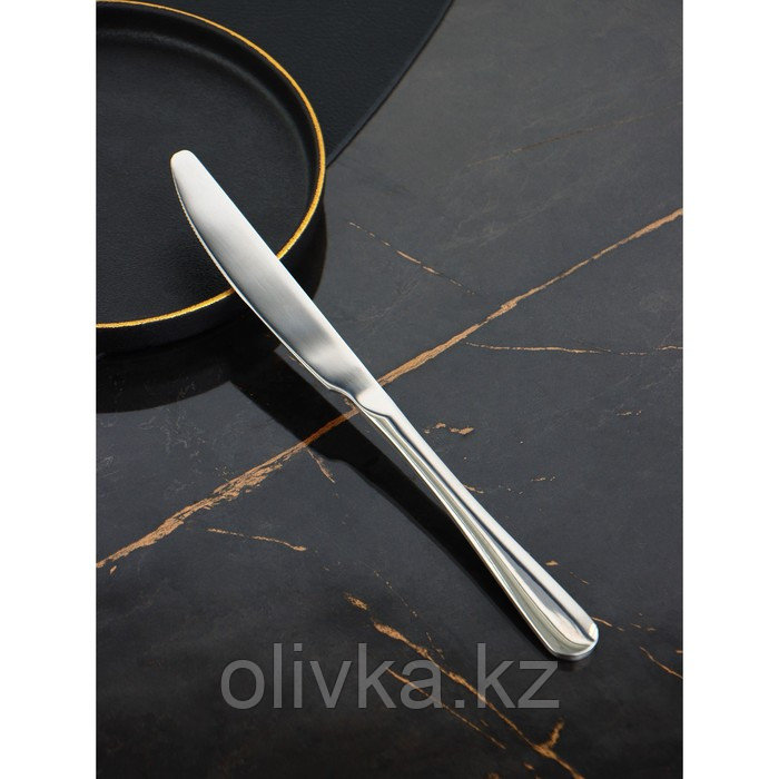 Ножи столовые из нержавеющей стали Доляна, длина 23 см, толщина рабочей части 2,2 мм, толщина ручки 5 мм, 410 - фото 2 - id-p113269483