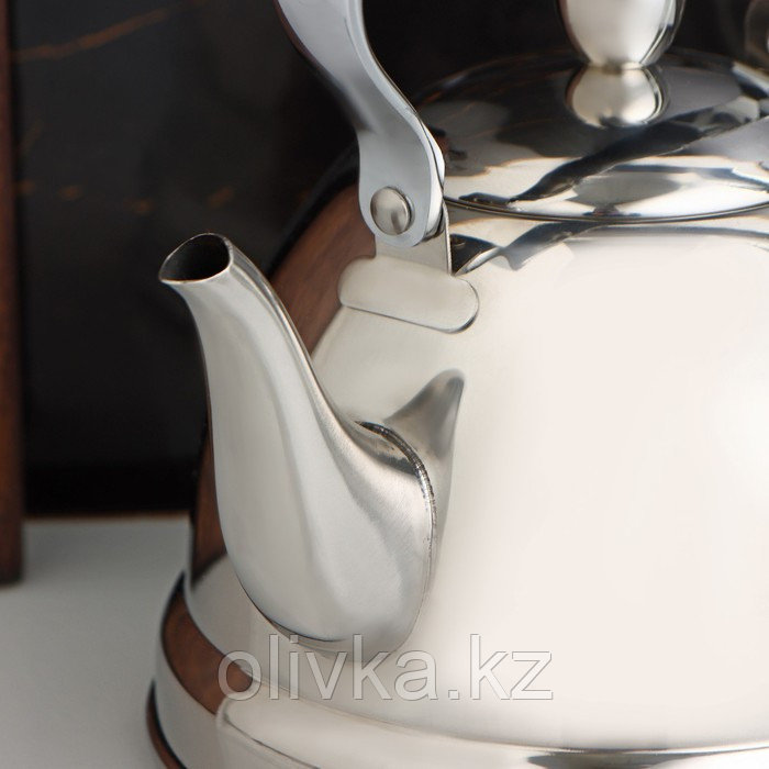 Чайник заварочный из нержавеющей стали «Каприз», 1 л, цвет хромированный - фото 4 - id-p113263538