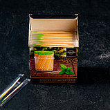 Зубочистки из берёзы Magistro, 500 шт, ментоловые, в индивидуальной упаковке, картонная коробка, фото 7