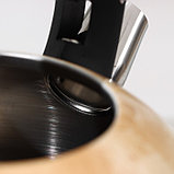 Чайник со свистком из нержавеющей стали Доляна «Скоттиш», 2,8 л, фото 3