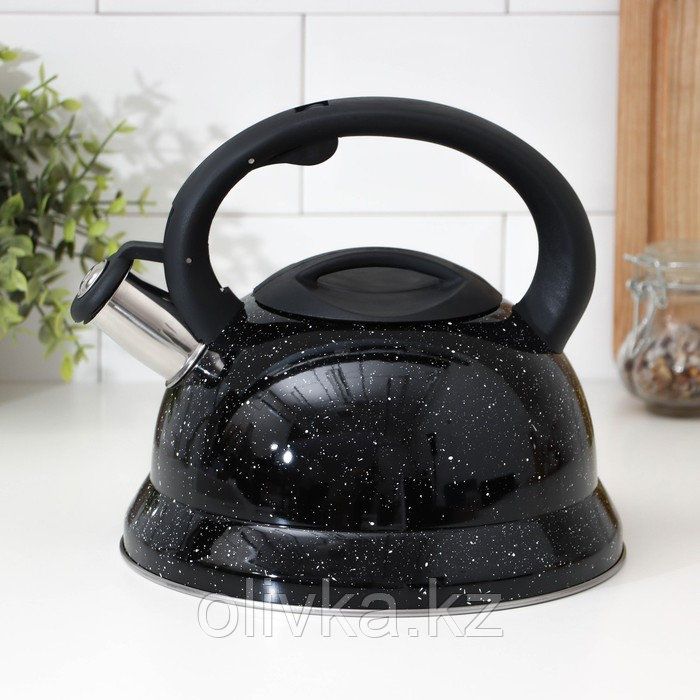 Чайник со свистком Доляна «Рио», 2,8 л, цвет чёрный - фото 1 - id-p113254154