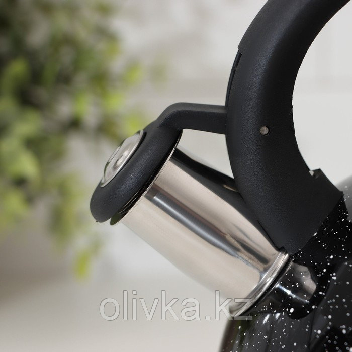 Чайник со свистком Доляна «Рио», 2,8 л, цвет чёрный - фото 3 - id-p113254154