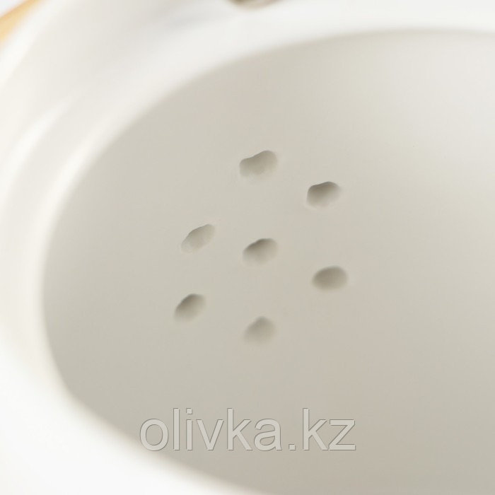 Набор чайный керамический «Сакура», 6 предметов: 4 кружки 250 мл, чайник 1 л, поднос d=29 см, цвет белый - фото 5 - id-p113275282