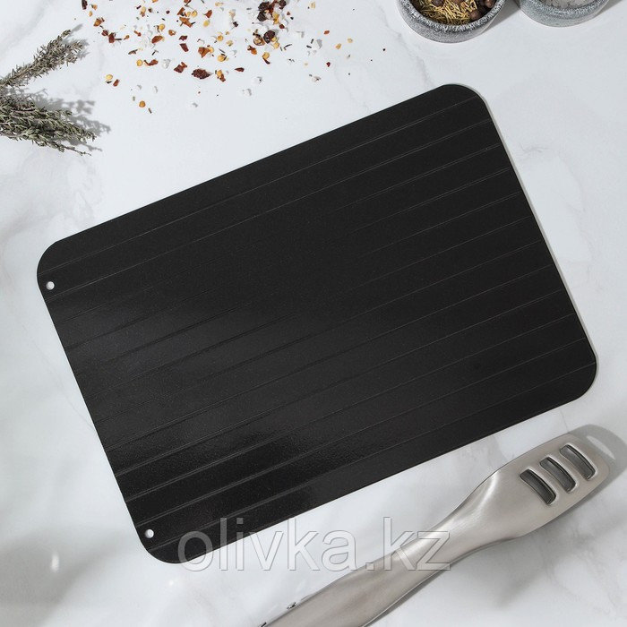 Противень для разморозки продуктов Доляна, 29,5×20,5 см, цвет чёрный - фото 2 - id-p113260242