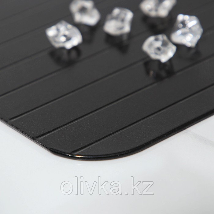 Противень для разморозки продуктов Доляна, 29,5×20,5 см, цвет чёрный - фото 3 - id-p113260242