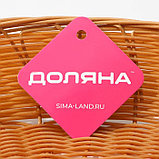 Корзинка для фруктов и хлеба Доляна «Капучино», 27×22×6 см, фото 6