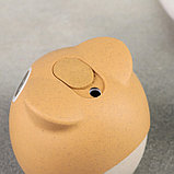 Подставка для зубочисток «Совушка», 8×8 см, цвет бежево-песочный, фото 2
