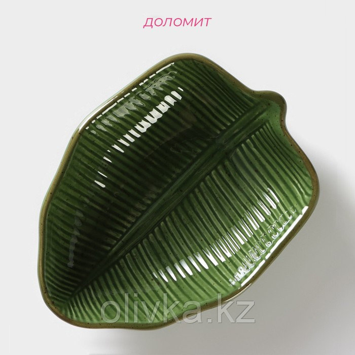 Салатник Доляна «Лист», 220 мл, 14,4×3,8 см, цвет зелёный - фото 2 - id-p113259400