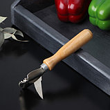 Рыбочистка с ножом для вспарывания «Традиционная», 15×4,5 см, с лакированной деревянной ручкой, фото 2