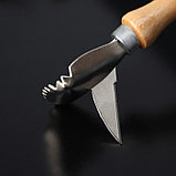 Рыбочистка с ножом для вспарывания «Традиционная», 15×4,5 см, с лакированной деревянной ручкой, фото 6