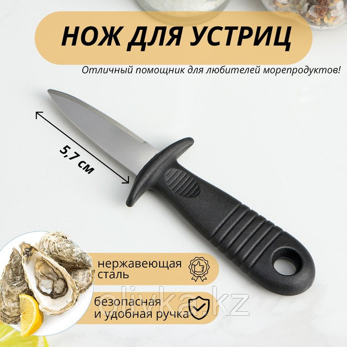 Нож для устриц Доляна, 14×4,4 см, длина лезвия 5,7см, цвет чёрный - фото 1 - id-p113275382