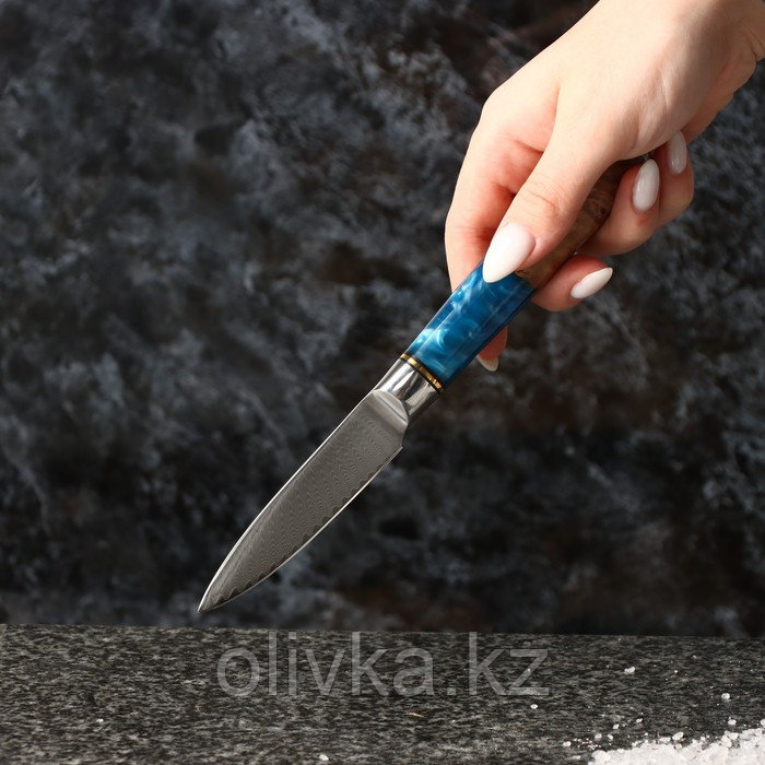 Нож овощной Paladium, 8,2 см, дамасская сталь VG-10 - фото 5 - id-p113268788