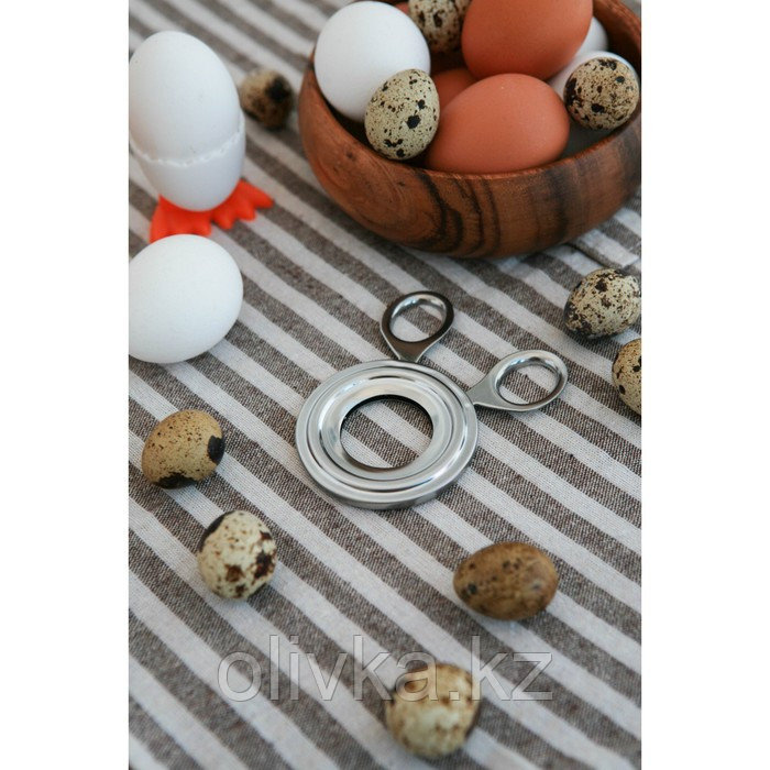 Ножницы для яиц, 10×8×0,7 см, диаметр отверстия 3,3 см, нержавеющая сталь - фото 1 - id-p113266305