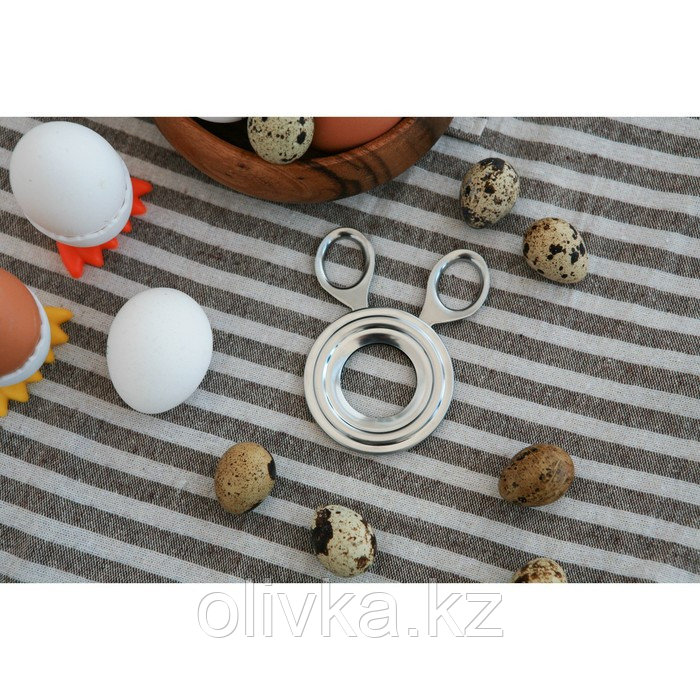 Ножницы для яиц, 10×8×0,7 см, диаметр отверстия 3,3 см, нержавеющая сталь - фото 2 - id-p113266305