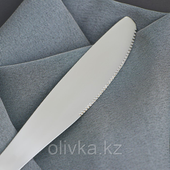 Нож столовый Доляна из нержавеющей стали «Оптима», длина 20,7 см, толщина 2 мм - фото 2 - id-p113273660