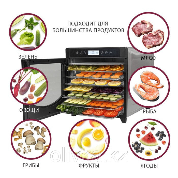 Сушилка для овощей и фруктов Pioneer FD108, 700 Вт, 10 ярусов, серебристая - фото 3 - id-p113266403