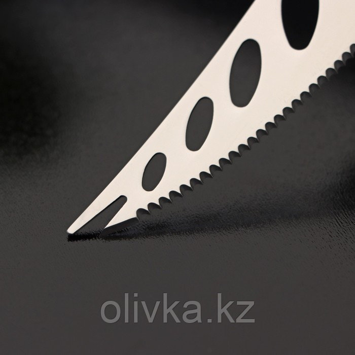 Нож для сыра Доляна «Ломоть», ручка из гевеи, 14,4×3 см - фото 3 - id-p113275529