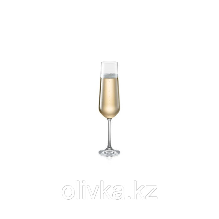 Набор бокалов для шампанского Tescoma Giorgio, 200 мл, 6 шт - фото 1 - id-p113269900