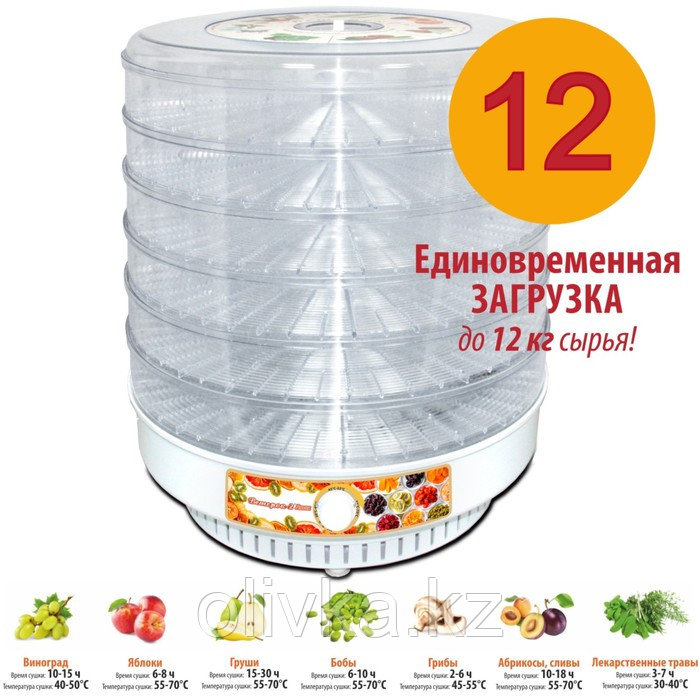 Сушилка для овощей « Ветерок-2 Люкс», 6 ярусов, 600 Вт, прозрачные уровни - фото 2 - id-p113271873