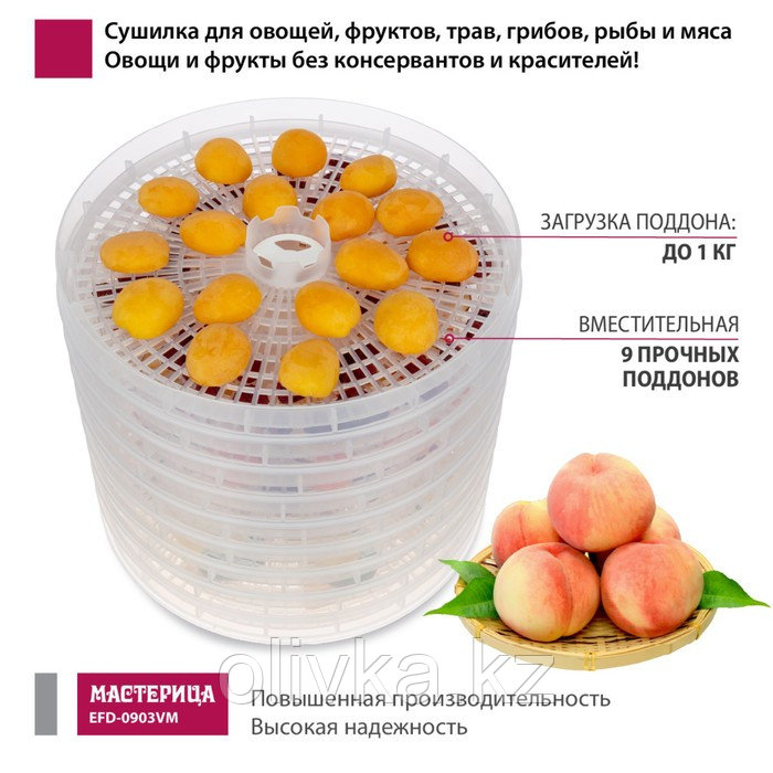 Сушилка для овощей и фруктов « Мастерица EFD-0903VM», 280 Вт, 9 поддонов, с прозрачными поддонами - фото 2 - id-p113271875