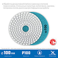 ЗУБР АГШК 100 мм, №100, мокрое шлифование, Алмазный гибкий шлифовальный круг (29866-100)