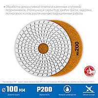 ЗУБР АГШК 100 мм, №200, мокрое шлифование, Алмазный гибкий шлифовальный круг (29866-200)