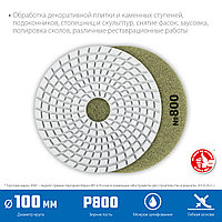 ЗУБР АГШК 100 мм, №800, мокрое шлифование, Алмазный гибкий шлифовальный круг (29866-800)