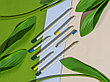 Набор растущих карандашей mini, 2 шт с семенами базилика и мяты, фото 2
