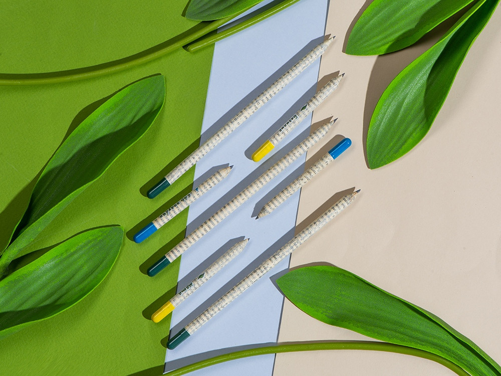 Набор растущих карандашей mini, 2 шт с семенами голубой ели и сосны - фото 6 - id-p113313952