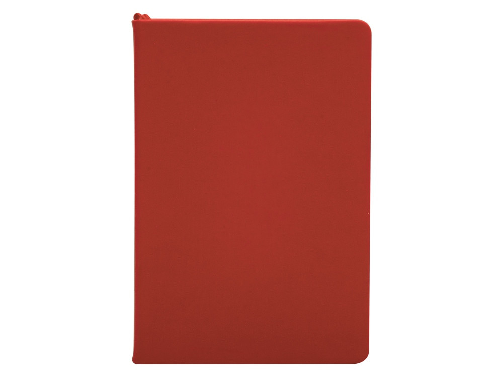 Бизнес-блокнот С3 софт-тач с магнитом, твердая обложка, 128 листов, красный - фото 2 - id-p113314709